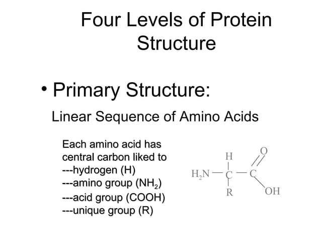 Protein structure levels | PPT | Chemistry | Science