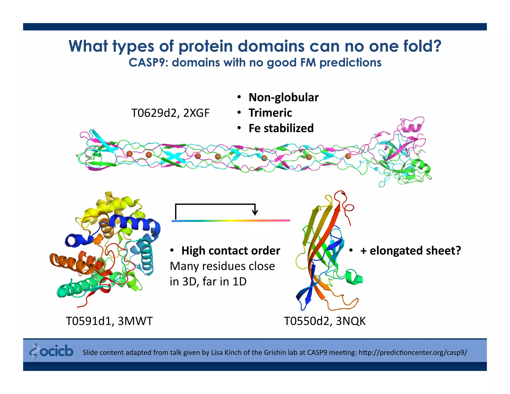 What types of protein domains can no one fold?
CASP9: domains with no good FM predictions
Slide	
  content	
  adapted	
  from	
  talk	
  given	
  by	
  Lisa	
  Kinch	
  of	
  the	
  Grishin	
  lab	
  at	
  CASP9	
  mee>ng:	
  h@p://predic>oncenter.org/casp9/	
  
•  Non-­‐globular	
  
•  Trimeric	
  
•  Fe	
  stabilized	
  
•  High	
  contact	
  order	
  
Many	
  residues	
  close	
  	
  
in	
  3D,	
  far	
  in	
  1D	
  	
  
•  +	
  elongated	
  sheet?	
  
T0591d1,	
  3MWT	
   T0550d2,	
  3NQK	
  
T0629d2,	
  2XGF	
  
 