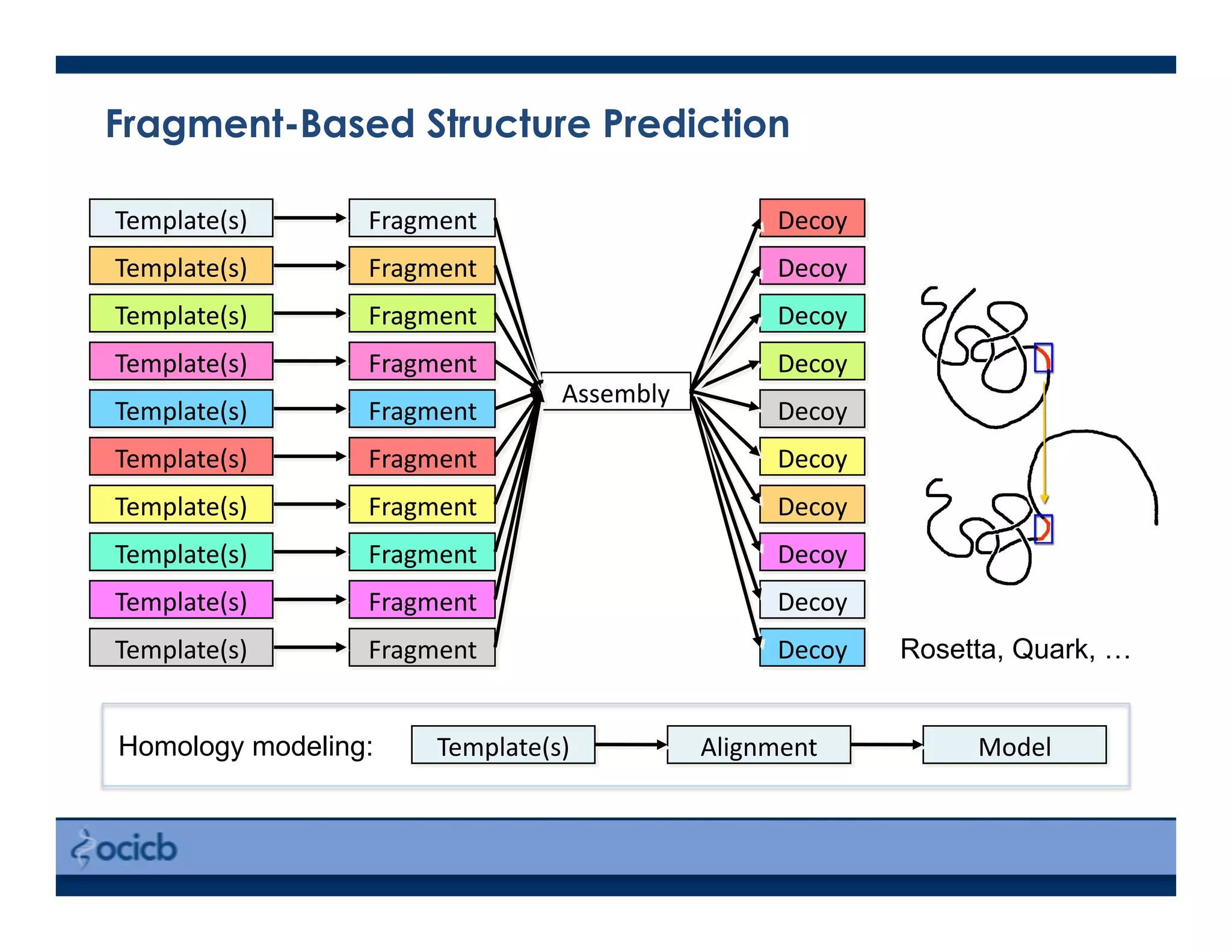 Assembly	
  
Decoy	
  
Decoy	
  
Decoy	
  
Decoy	
  
Decoy	
  
Decoy	
  
Decoy	
  
Decoy	
  
Decoy	
  
Fragment	
  
Fragment	
  
Fragment	
  
Fragment	
  
Fragment	
  
Fragment	
  
Fragment	
  
Fragment	
  
Fragment	
  
Fragment	
  
Decoy	
  
Fragment-Based Structure Prediction
Rosetta, Quark, …
Template(s)	
  
Template(s)	
  
Template(s)	
  
Template(s)	
  
Template(s)	
  
Template(s)	
  
Template(s)	
  
Template(s)	
  
Template(s)	
  
Template(s)	
  
Template(s)	
   Model	
  Alignment	
  Homology modeling:
 
