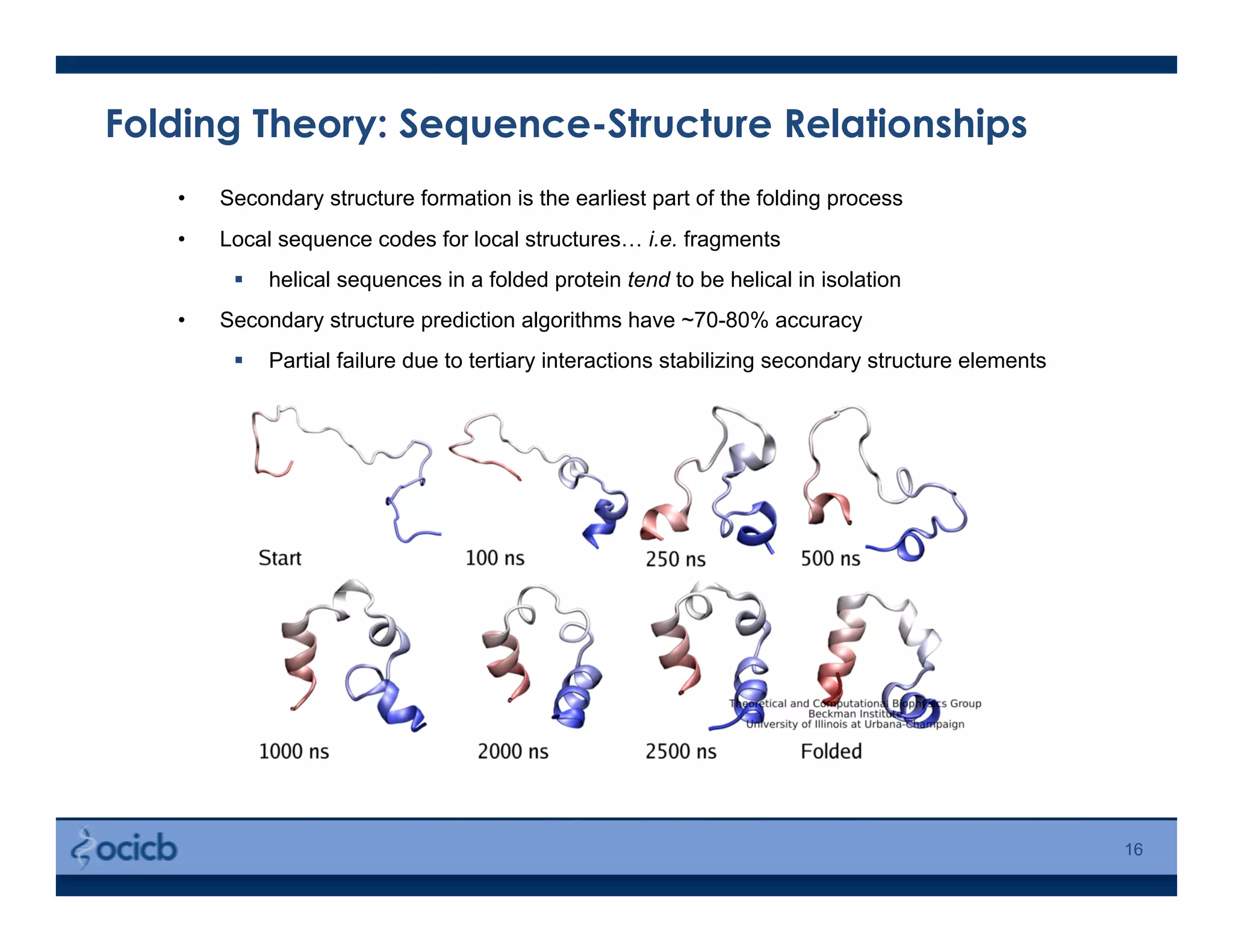 Folding Theory: Sequence-Structure Relationships
16
•  Secondary structure formation is the earliest part of the folding process
•  Local sequence codes for local structures… i.e. fragments
  helical sequences in a folded protein tend to be helical in isolation
•  Secondary structure prediction algorithms have ~70-80% accuracy
  Partial failure due to tertiary interactions stabilizing secondary structure elements
 
