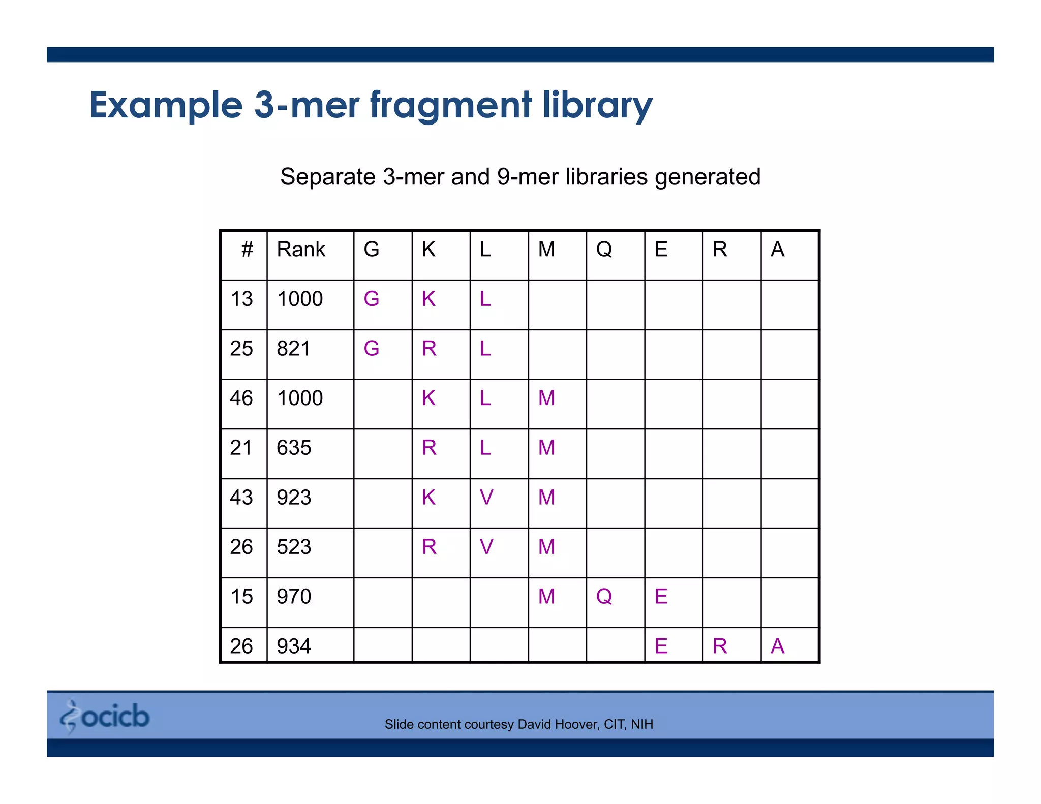 # Rank G K L M Q E R A
13 1000 G K L
25 821 G R L
46 1000 K L M
21 635 R L M
43 923 K V M
26 523 R V M
15 970 M Q E
26 934 E R A
Separate 3-mer and 9-mer libraries generated
Slide content courtesy David Hoover, CIT, NIH
Example 3-mer fragment library
 