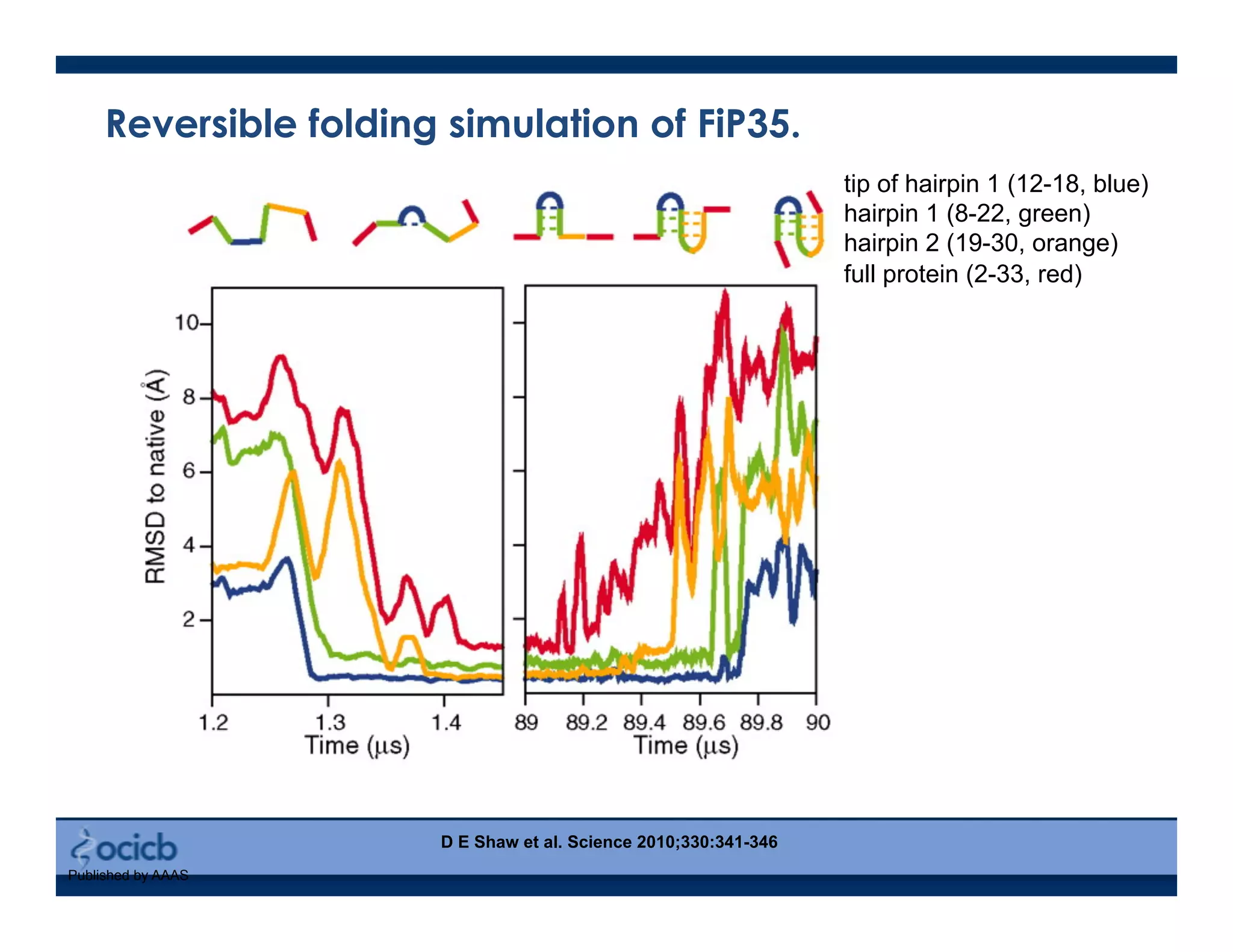 Published by AAAS
tip of hairpin 1 (12-18, blue)
hairpin 1 (8-22, green)
hairpin 2 (19-30, orange)
full protein (2-33, red)
D E Shaw et al. Science 2010;330:341-346
Reversible folding simulation of FiP35.
 