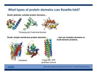 What types of protein domains can Rosetta fold?
Small, globular, soluble protein domains…
Small, simple membrane protein domains… …but not complex domains or
multi-domain proteins.
T4-lysozyme C-terminal domain
V-type Na+ ATP
synthase subunit
rhodopsin
Slide content adapted from Stephanie Hirst at the 2011 Vanderbilt Rosetta Workshop
A B C
 