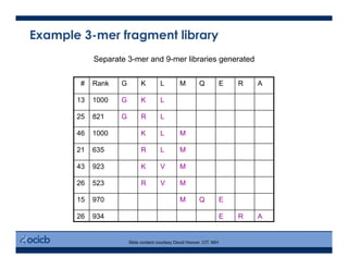 # Rank G K L M Q E R A
13 1000 G K L
25 821 G R L
46 1000 K L M
21 635 R L M
43 923 K V M
26 523 R V M
15 970 M Q E
26 934 E R A
Separate 3-mer and 9-mer libraries generated
Slide content courtesy David Hoover, CIT, NIH
Example 3-mer fragment library
 