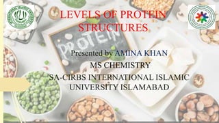 LEVELS OF PROTEIN
STRUCTURES
Presented by AMINA KHAN
MS CHEMISTRY
SA-CIRBS INTERNATIONAL ISLAMIC
UNIVERSITY ISLAMABAD
 