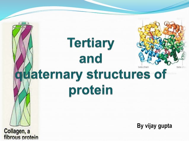 Protein structures by anivjeh | PPT image.
