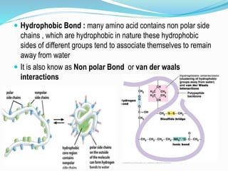  Hydrophobic Bond : many amino acid contains non polar side
chains , which are hydrophobic in nature these hydrophobic
sides of different groups tend to associate themselves to remain
away from water
 It is also know as Non polar Bond or van der waals
interactions
 