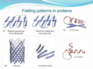 Folding patterns in proteins
 