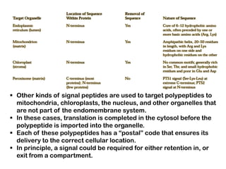  Other kinds of signal peptides are used to target polypeptides to
  mitochondria, chloroplasts, the nucleus, and other organelles that
  are not part of the endomembrane system.
 In these cases, translation is completed in the cytosol before the
  polypeptide is imported into the organelle.
 Each of these polypeptides has a “postal” code that ensures its
  delivery to the correct cellular location.
 In principle, a signal could be required for either retention in, or
  exit from a compartment.
 
