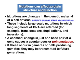  Mutations are changes in the genetic material
  of a cell or virus. MUTATION AND DNA REPAIR MECHANISMS.pptx
 These include large-scale mutations in which
  long segments of DNA are affected (for
  example, translocations, duplications, and
  inversions).
 A chemical change in just one base pair of a
  gene causes a spontaneous or point mutation.
 If these occur in gametes or cells producing
  gametes, they may be transmitted to future
  generations.
 