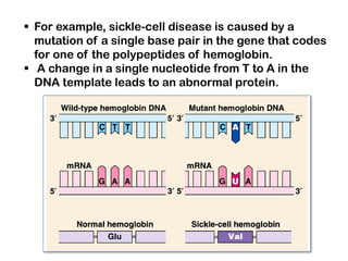  For example, sickle-cell disease is caused by a
  mutation of a single base pair in the gene that codes
  for one of the polypeptides of hemoglobin.
 A change in a single nucleotide from T to A in the
  DNA template leads to an abnormal protein.
 