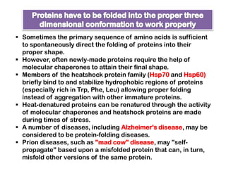  Sometimes the primary sequence of amino acids is sufficient
  to spontaneously direct the folding of proteins into their
  proper shape.
 However, often newly-made proteins require the help of
  molecular chaperones to attain their final shape.
 Members of the heatshock protein family (Hsp70 and Hsp60)
  briefly bind to and stabilize hydrophobic regions of proteins
  (especially rich in Trp, Phe, Leu) allowing proper folding
  instead of aggregation with other immature proteins.
 Heat-denatured proteins can be renatured through the activity
  of molecular chaperones and heatshock proteins are made
  during times of stress.
 A number of diseases, including Alzheimer's disease, may be
  considered to be protein-folding diseases.
 Prion diseases, such as "mad cow" disease, may "self-
  propagate" based upon a misfolded protein that can, in turn,
  misfold other versions of the same protein.
 