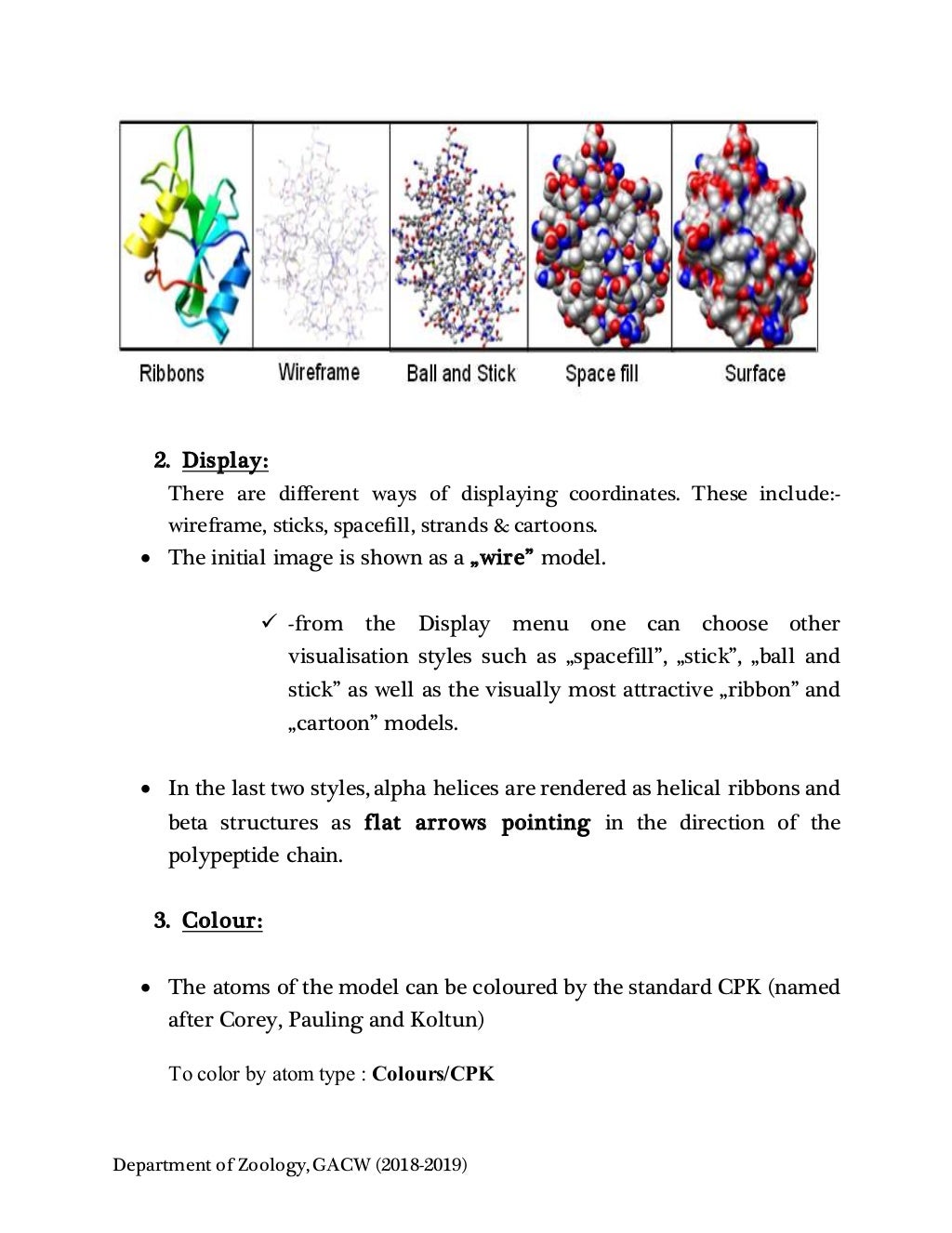 Protein structure visualization tools-RASMOL