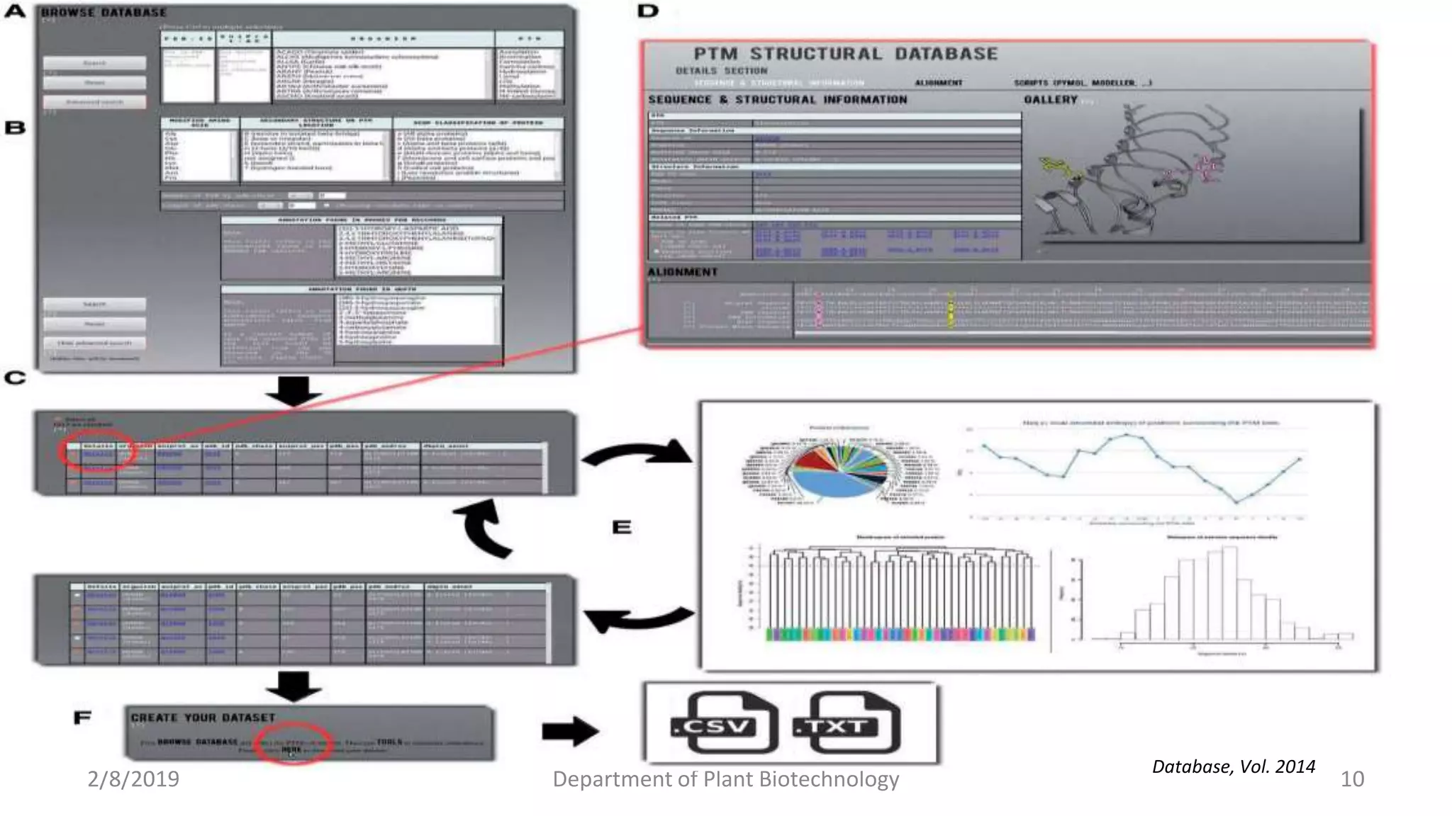 2/8/2019 Department of Plant Biotechnology 10
Database, Vol. 2014
 