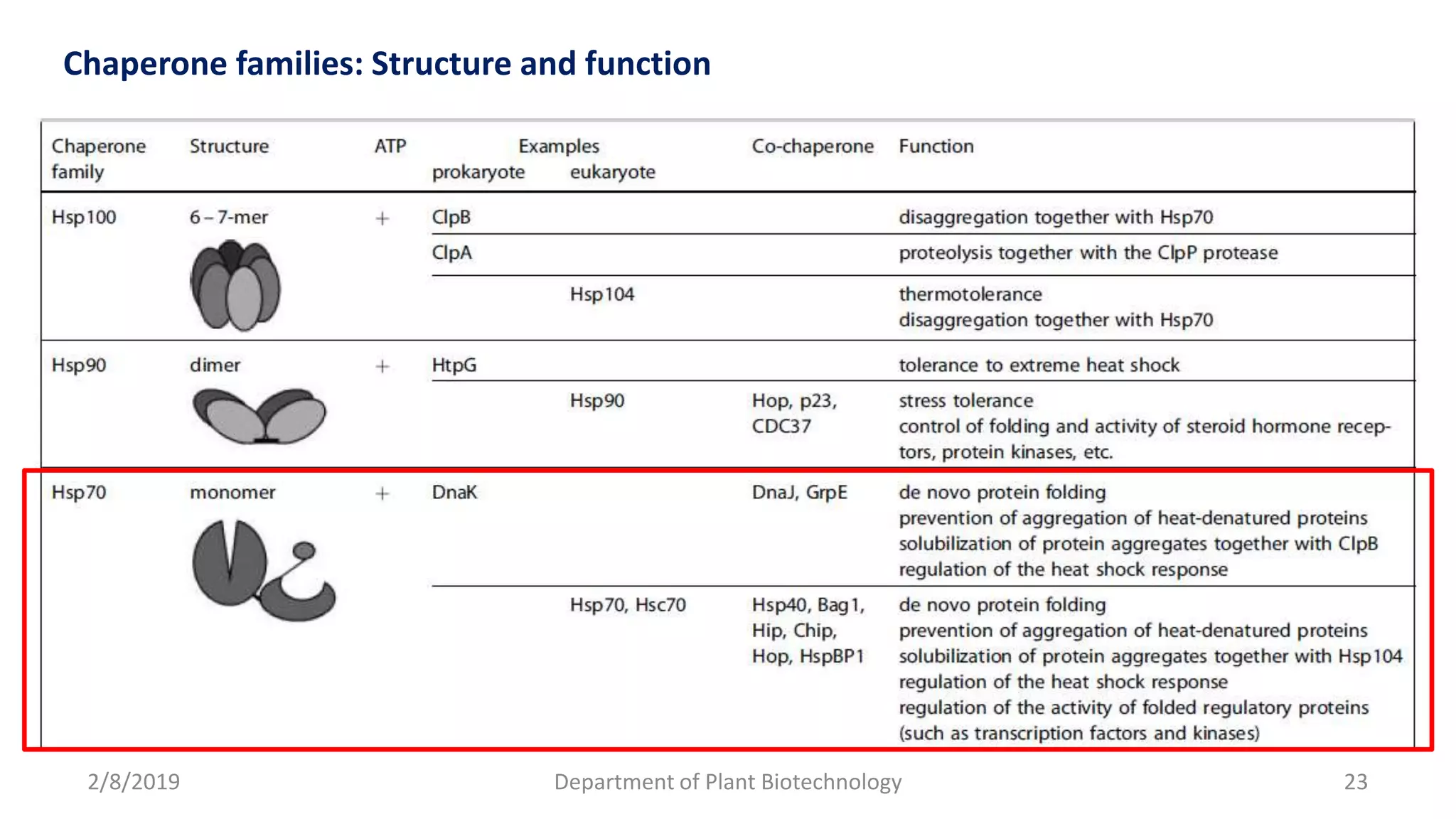 2/8/2019 Department of Plant Biotechnology 23
Chaperone families: Structure and function
 