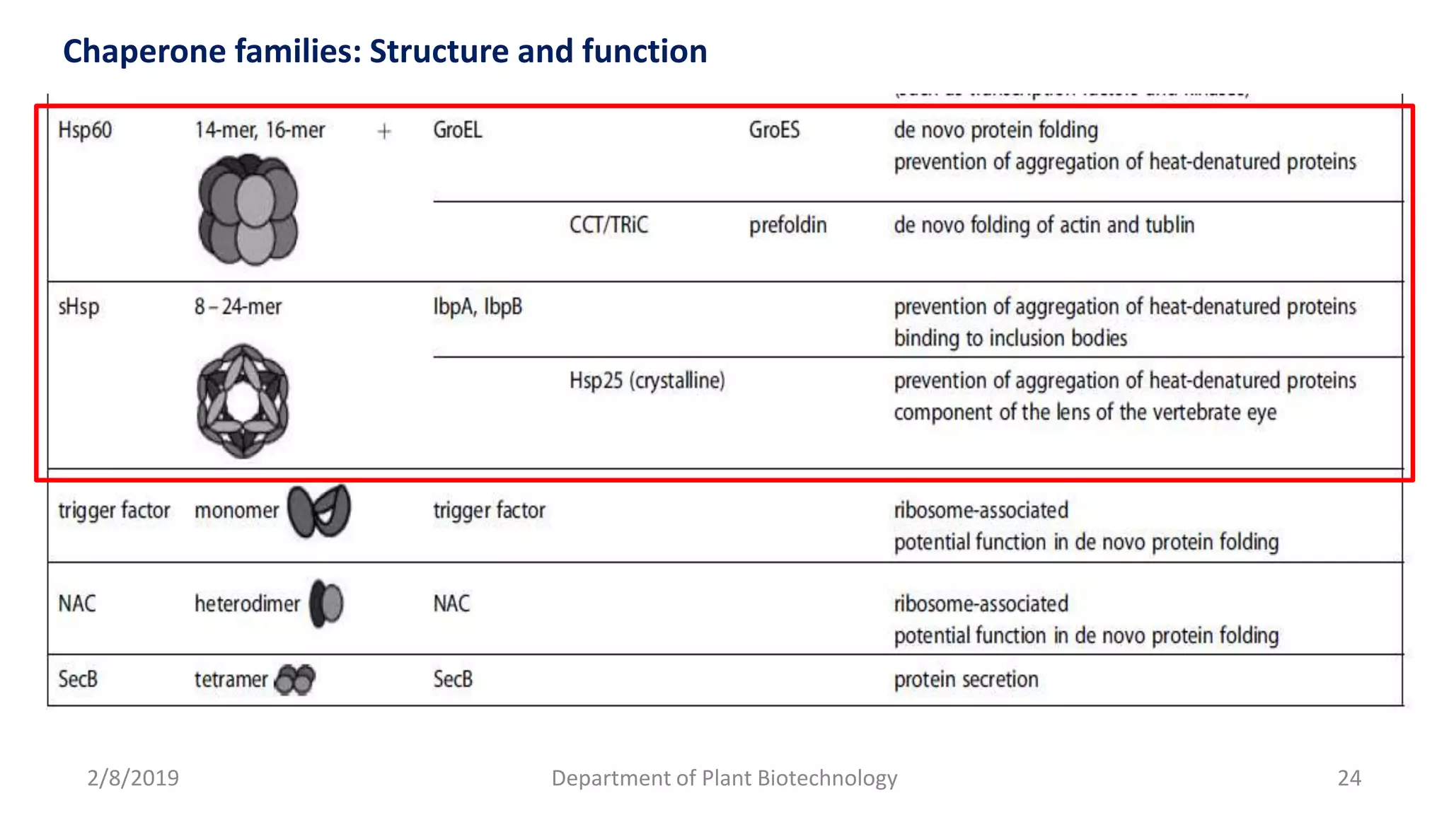 2/8/2019 Department of Plant Biotechnology 24
Chaperone families: Structure and function
 