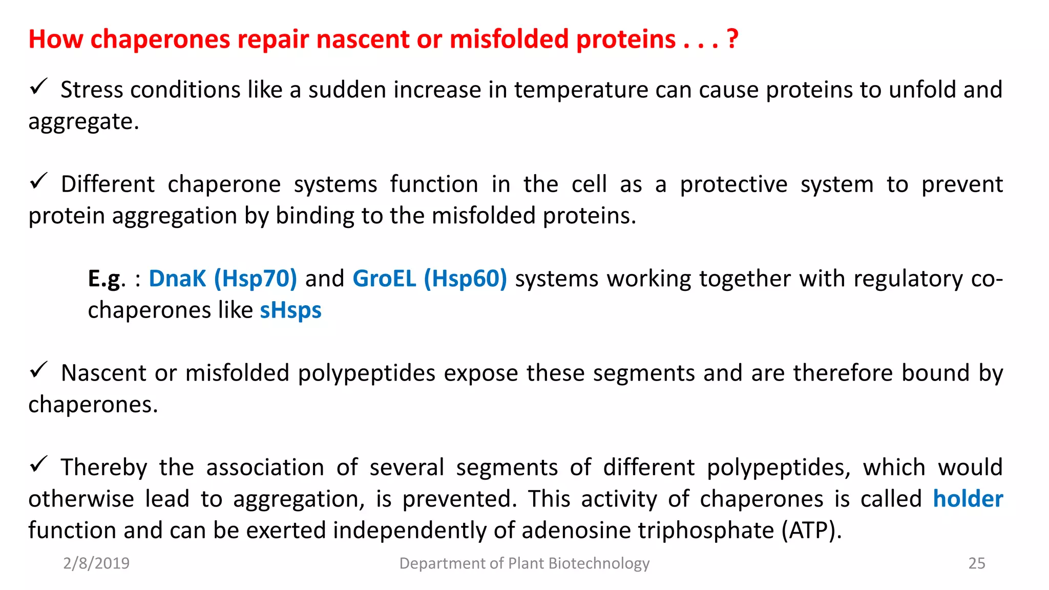 2/8/2019 Department of Plant Biotechnology 25
How chaperones repair nascent or misfolded proteins . . . ?
 Stress conditions like a sudden increase in temperature can cause proteins to unfold and
aggregate.
 Different chaperone systems function in the cell as a protective system to prevent
protein aggregation by binding to the misfolded proteins.
E.g. : DnaK (Hsp70) and GroEL (Hsp60) systems working together with regulatory co-
chaperones like sHsps
 Nascent or misfolded polypeptides expose these segments and are therefore bound by
chaperones.
 Thereby the association of several segments of different polypeptides, which would
otherwise lead to aggregation, is prevented. This activity of chaperones is called holder
function and can be exerted independently of adenosine triphosphate (ATP).
 