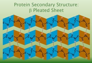 Protein structure | PDF