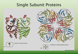 Protein structure | PDF