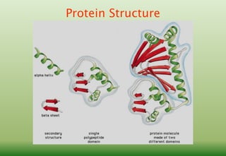 download free primary structure of protein download free primary structure of protein