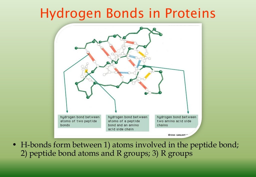 Protein structure