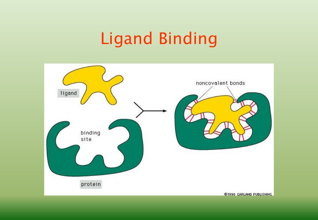 download free primary structure of protein download free primary structure of protein