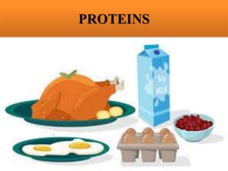 PROTEINS
 