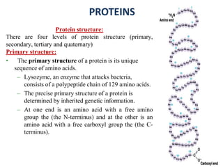 PROTEINS unit3 biochemistry and clinical pathology, D.Pharm 2nd year.pptx