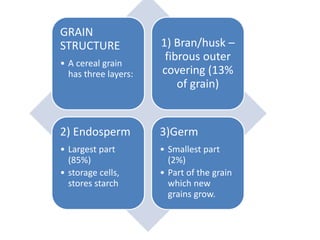 GRAIN
STRUCTURE
• A cereal grain
has three layers:
1) Bran/husk –
fibrous outer
covering (13%
of grain)
2) Endosperm
• Largest part
(85%)
• storage cells,
stores starch
3)Germ
• Smallest part
(2%)
• Part of the grain
which new
grains grow.
 