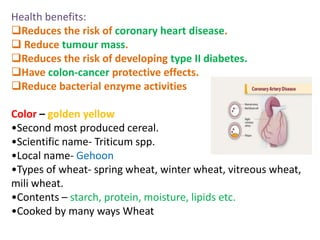 Health benefits:
Reduces the risk of coronary heart disease.
 Reduce tumour mass.
Reduces the risk of developing type II diabetes.
Have colon-cancer protective effects.
Reduce bacterial enzyme activities
Color – golden yellow
•Second most produced cereal.
•Scientific name- Triticum spp.
•Local name- Gehoon
•Types of wheat- spring wheat, winter wheat, vitreous wheat,
mili wheat.
•Contents – starch, protein, moisture, lipids etc.
•Cooked by many ways Wheat
 
