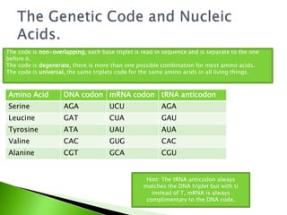 Valine Codoncode Protein syn | PPTX
