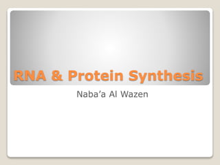 RNA & Protein Synthesis
Naba’a Al Wazen
 