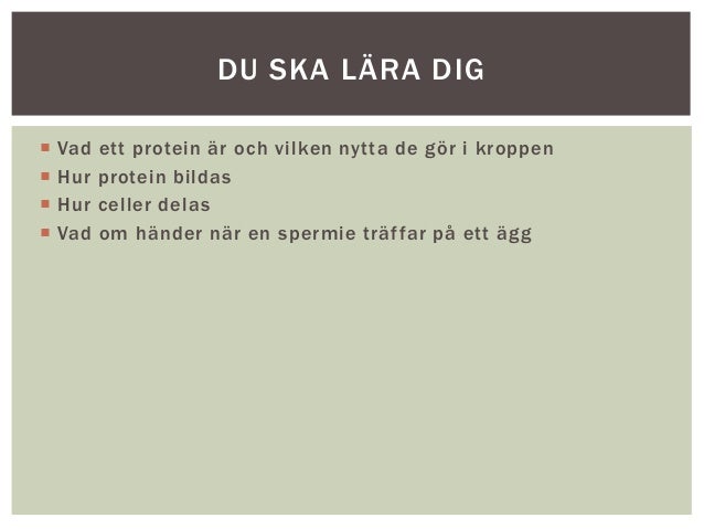 vad gör protein i kroppen vad gör protein i kroppen
