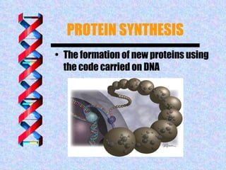 PROTEIN SYNTHESIS ,[object Object]