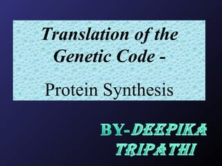 Translation of the Genetic Code - Protein Synthesis 