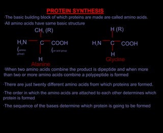 PROTEIN SYNTHESIS ·The basic building block of which proteins are made are called amino acids. ·All amino acids have same basic structure H (R) CH3 (R) H2N (amino group) C COOH (an acid group H2N C COOH H H Glycine Alanine ·When two amino acids combine the product is dipeptide and when more than two or more amino acids combine a polypeptide is formed ·There are just twenty different amino acids from which proteins are formed. ·The order in which the amino acids are attached to each other determines which protein is formed ·The sequence of the bases determine which protein is going to be formed 