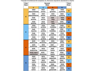 Mader: Biology 8 th  Ed. 