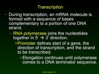 Transcription During transcription, an mRNA molecule is formed with a sequence of bases complementary to a portion of one DNA strand. RNA polymerase  joins the nucleotides together in 5’    3’ direction. Promoter  defines start of a gene, the direction of transcription, and the strand to be transcribed. Elongation continues until polymerase comes to a DNA terminator sequence. Mader: Biology 8 th  Ed. 