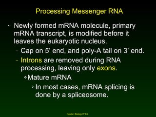 Processing Messenger RNA Newly formed mRNA molecule, primary mRNA transcript, is modified before it leaves the eukaryotic nucleus. Cap on 5’ end, and poly-A tail on 3’ end. Introns  are removed during RNA processing, leaving only  exons . Mature mRNA In most cases, mRNA splicing is done by a spliceosome. Mader: Biology 8 th  Ed. 