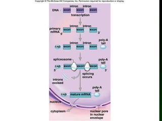 Mader: Biology 8 th  Ed. 