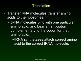 Translation Transfer RNA molecules transfer amino acids to the ribosomes. tRNA molecules bind with one particular amino acid, and bear an anticodon complementary to the codon for that amino acid. tRNA synthetases attach correct amino acid to the correct tRNA molecule. Mader: Biology 8 th  Ed. 