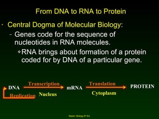 From DNA to RNA to Protein Central Dogma of Molecular Biology: Genes code for the sequence of nucleotides in RNA molecules.  RNA brings about formation of a protein coded for by DNA of a particular gene. Mader: Biology 8 th  Ed. Transcription DNA Replication mRNA Translation PROTEIN Nucleus Cytoplasm 