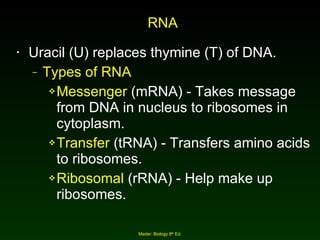 RNA Uracil (U) replaces thymine (T) of DNA. Types of RNA Messenger  (mRNA) - Takes message from DNA in nucleus to ribosomes in cytoplasm. Transfer  (tRNA) - Transfers amino acids to ribosomes. Ribosomal  (rRNA) - Help make up ribosomes. Mader: Biology 8 th  Ed. 