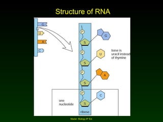 Structure of RNA Mader: Biology 8 th  Ed. 