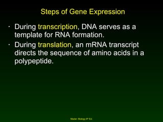 Steps of Gene Expression During  transcription , DNA serves as a template for RNA formation. During  translation , an mRNA transcript directs the sequence of amino acids in a polypeptide. Mader: Biology 8 th  Ed. 