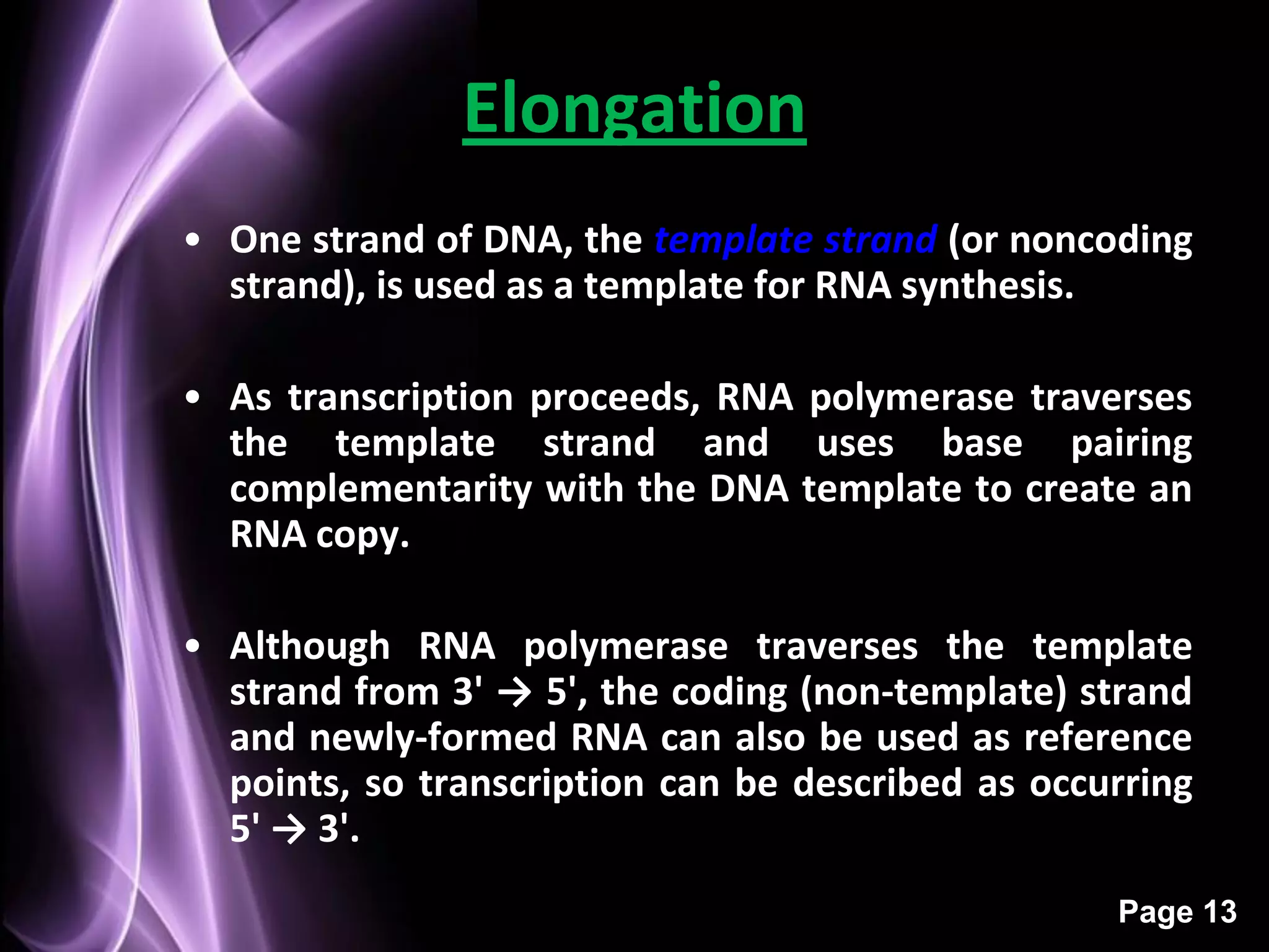 Elongation
• One strand of DNA, the template strand (or noncoding
  strand), is used as a template for RNA synthesis.

• As transcription proceeds, RNA polymerase traverses
  the template strand and uses base pairing
  complementarity with the DNA template to create an
  RNA copy.

• Although RNA polymerase traverses the template
  strand from 3' → 5', the coding (non-template) strand
  and newly-formed RNA can also be used as reference
  points, so transcription can be described as occurring
  5' → 3'.
                                                   Page 13
 