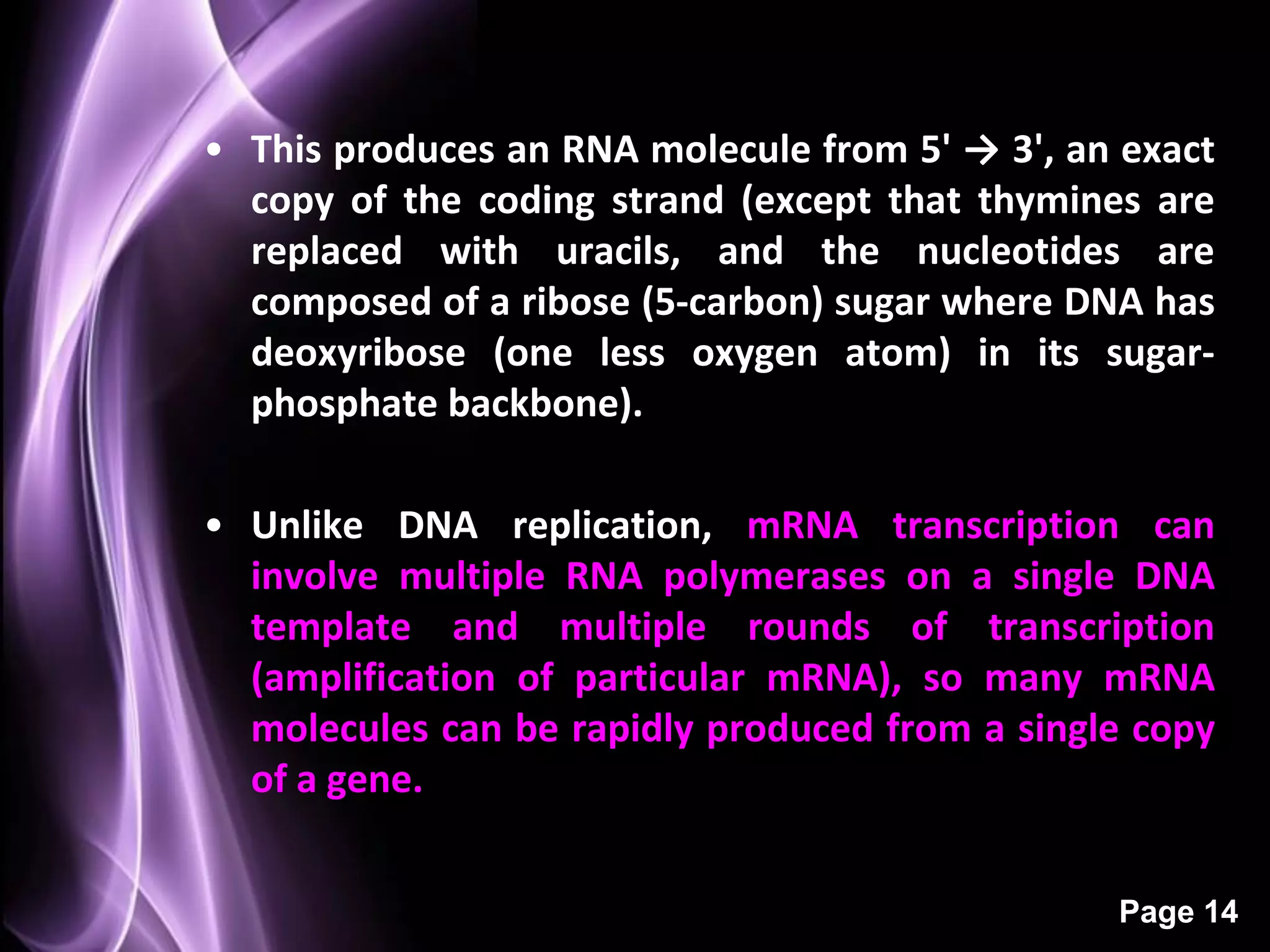 • This produces an RNA molecule from 5' → 3', an exact
  copy of the coding strand (except that thymines are
  replaced with uracils, and the nucleotides are
  composed of a ribose (5-carbon) sugar where DNA has
  deoxyribose (one less oxygen atom) in its sugar-
  phosphate backbone).

• Unlike DNA replication, mRNA transcription can
  involve multiple RNA polymerases on a single DNA
  template and multiple rounds of transcription
  (amplification of particular mRNA), so many mRNA
  molecules can be rapidly produced from a single copy
  of a gene.


                                                Page 14
 