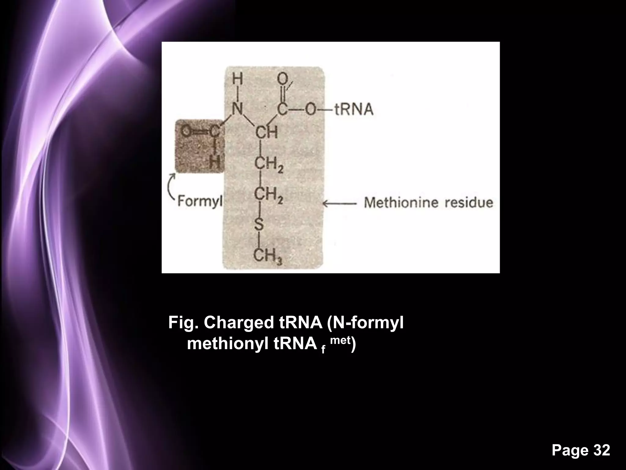 Fig. Charged tRNA (N-formyl
  methionyl tRNA f met)




                              Page 32
 
