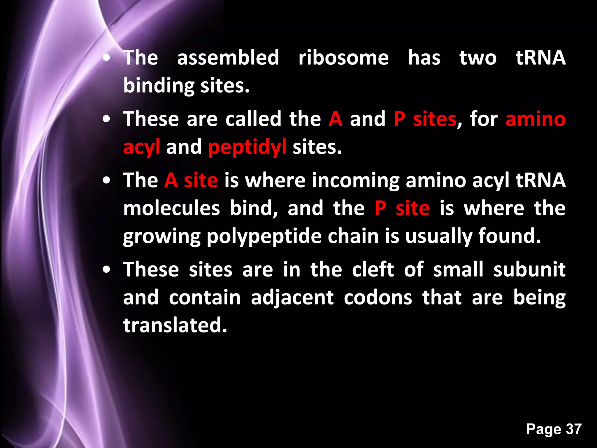 • The assembled ribosome has two tRNA
  binding sites.
• These are called the A and P sites, for amino
  acyl and peptidyl sites.
• The A site is where incoming amino acyl tRNA
  molecules bind, and the P site is where the
  growing polypeptide chain is usually found.
• These sites are in the cleft of small subunit
  and contain adjacent codons that are being
  translated.



                                          Page 37
 