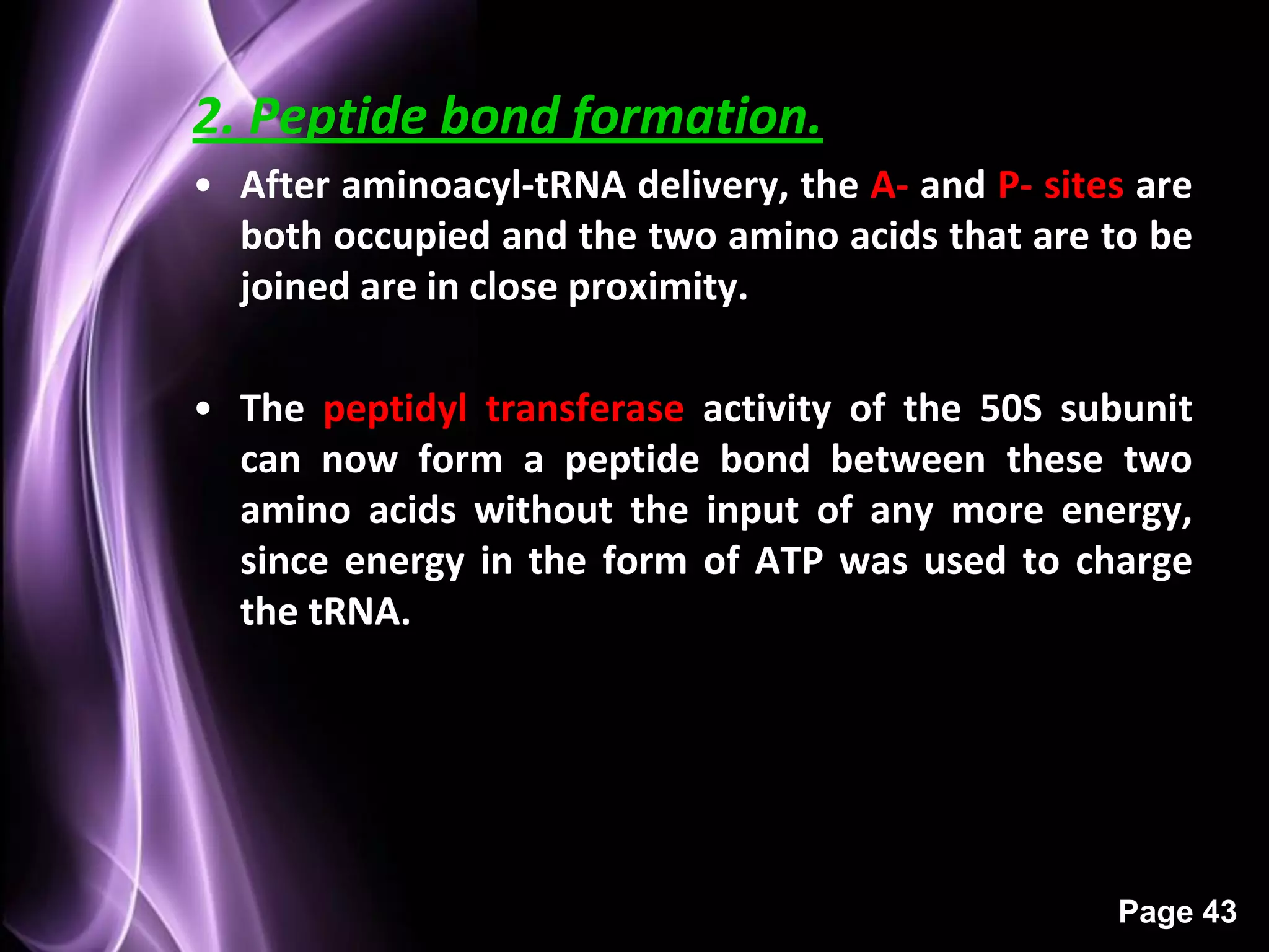 2. Peptide bond formation.
• After aminoacyl-tRNA delivery, the A- and P- sites are
  both occupied and the two amino acids that are to be
  joined are in close proximity.

• The peptidyl transferase activity of the 50S subunit
  can now form a peptide bond between these two
  amino acids without the input of any more energy,
  since energy in the form of ATP was used to charge
  the tRNA.




                                                   Page 43
 